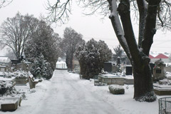 Temető üzemeltetés